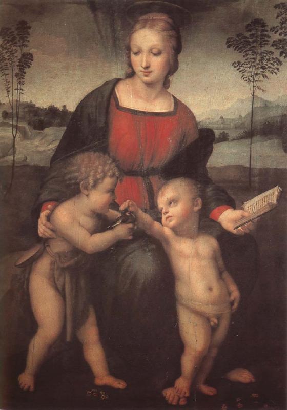 RAFFAELLO Sanzio The virgin mary  and John France oil painting art